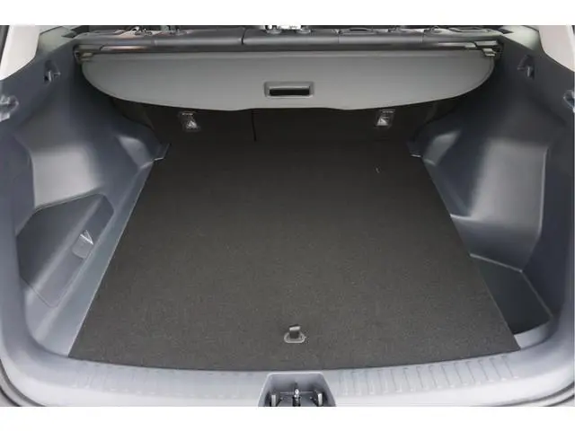 Geely Starray EM-i