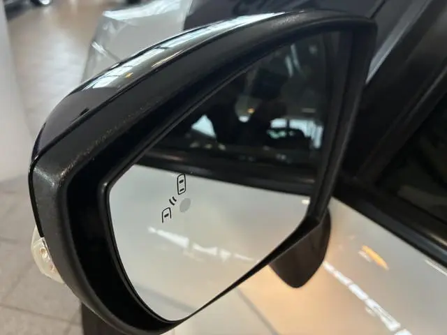 Ford EcoSport EcoBoost ST-Line vol opties!!
