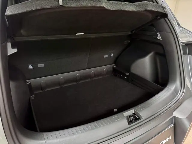 BYD ATTO 2