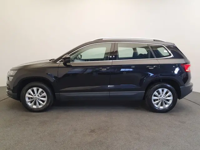 ŠKODA Karoq 1.0 TSI 110pk Business Edition Camera, Cruise control, Stoelverwarming