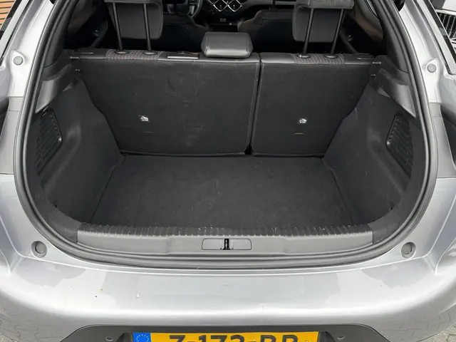 DS DS 3