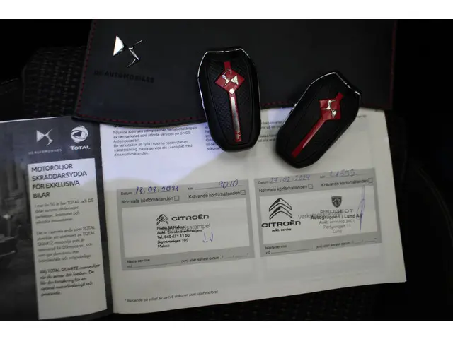 DS DS 3