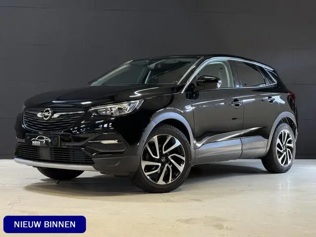 Opel Grandland X 1.2 Turbo Business Executive | Camera | Apple Carplay | Dodehoeksensoren