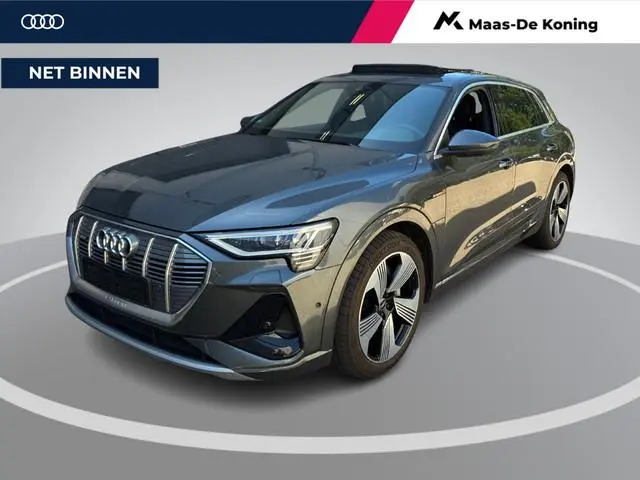 Audi e-tron 55 408pk Quattro S edition 95 kWh · SOH 95,6% · Panoramadak · 360 Camera · B&O Audio · S...