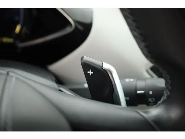 DS DS 3