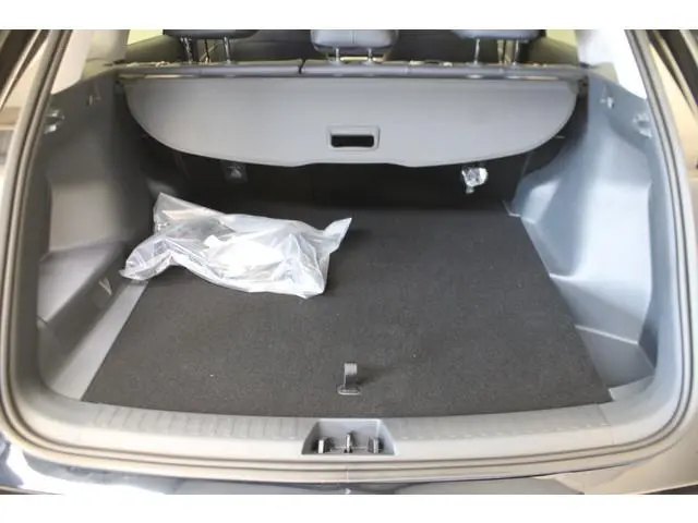 Geely Starray EM-i