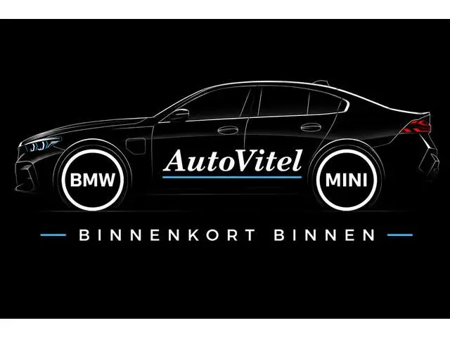 BMW X1 xDrive25e | Head-Up | Trekhaak | Leder | Camera | Stoelverwarming