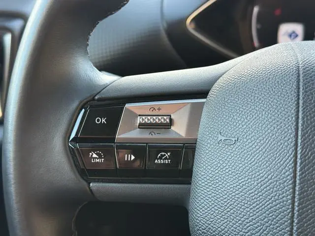 DS DS 3