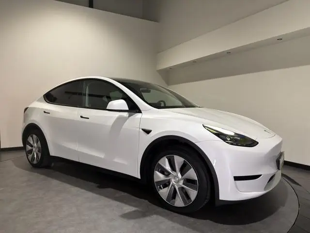 Tesla Model Y RWD 58 kWh | Cruise Control Adaptief |