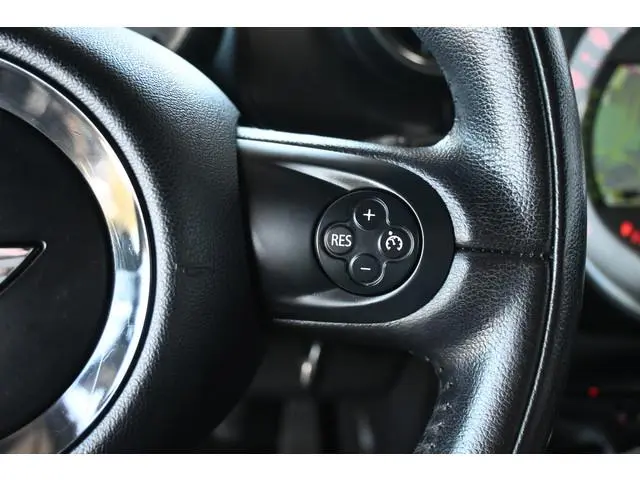 Mini Paceman