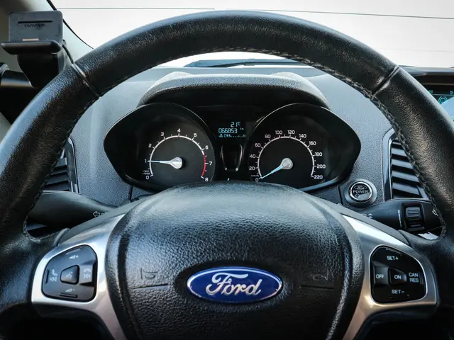 Ford EcoSport 1.0 EcoBoost Titanium | Clima  | Cruise | Audio | Lichtmetaal | Trekhaak |