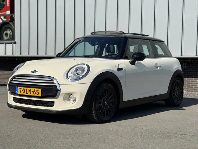 Mini Mini