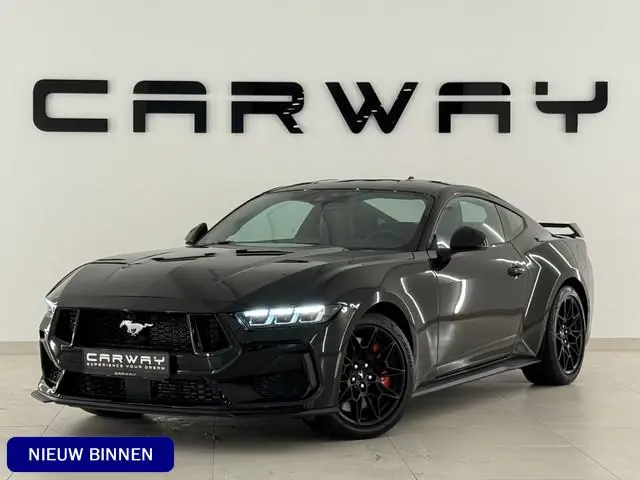 Ford USA Mustang Fastback Performance Enige 2026 Mustang In Nederland!