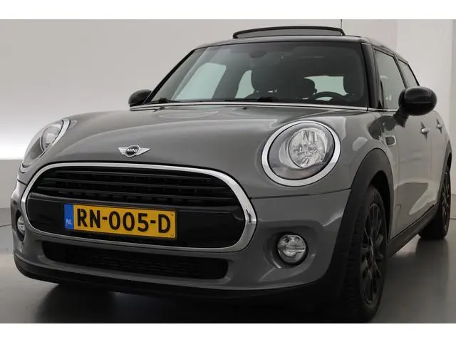 Mini Mini