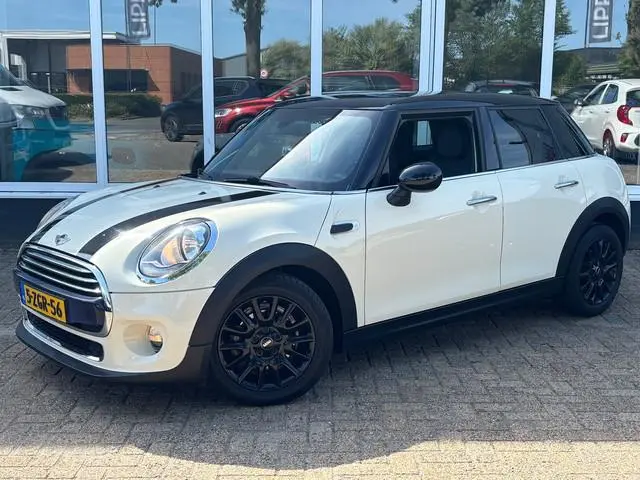 Mini Mini