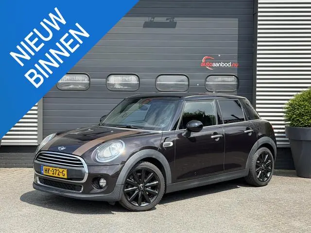 Mini Mini