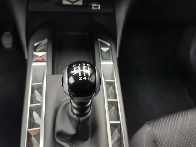 DS DS 3