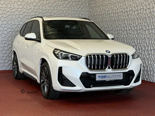 BMW X1 XDRIVE 25E M-SPORT LED PANO.SCHUIFDAK  ELEK.KLEP NAVI STOELVERW M-SHADOW LINE ELEK.STOEL ZWAR...