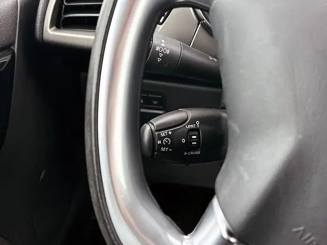 DS DS 3