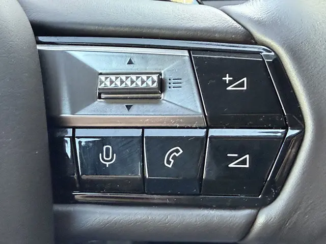 DS DS 4