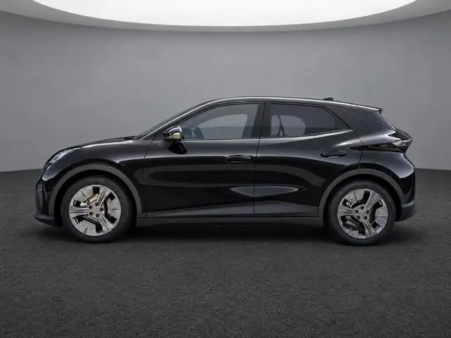 Cupra Raval