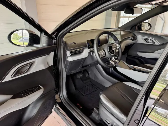 BYD DOLPHIN SURF