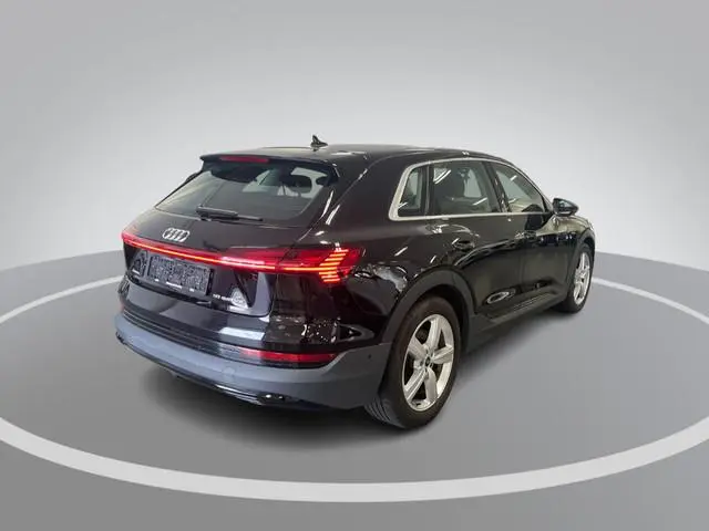 Audi e-tron e-tron 50 Quattro 313pk Launch Edition 71 kWh · Camera · Luchtvering · Afneembare Trekha...